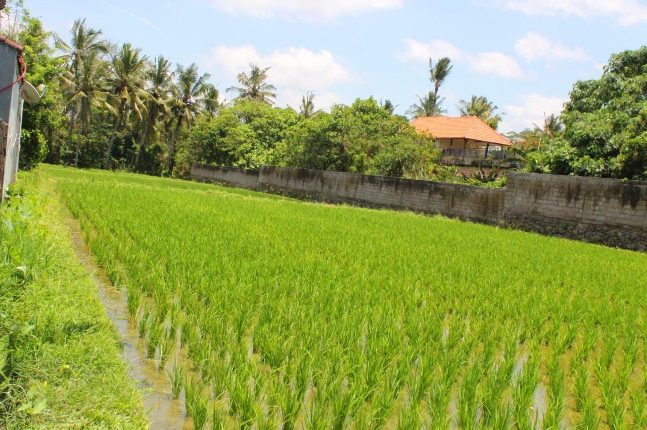 White Creative Villa Campuhan Ubud Exterior foto